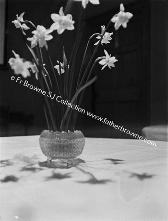 FLOWERS IN VASE